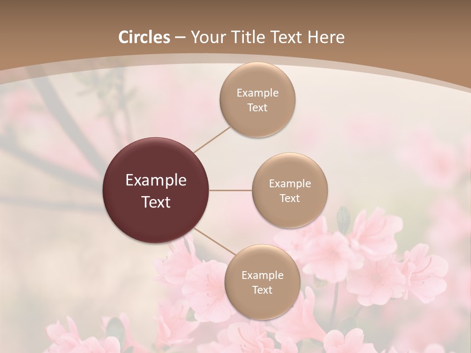 Selective Focus Pink Nature PowerPoint Template