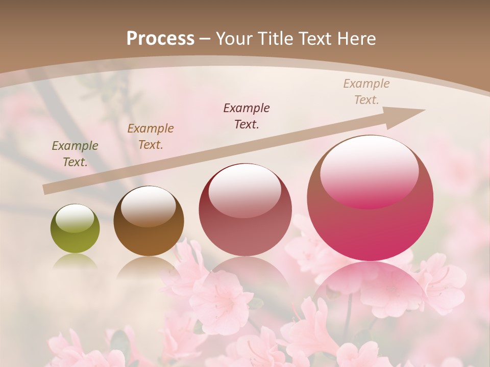 Selective Focus Pink Nature PowerPoint Template