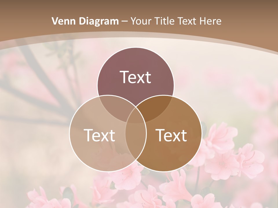 Selective Focus Pink Nature PowerPoint Template