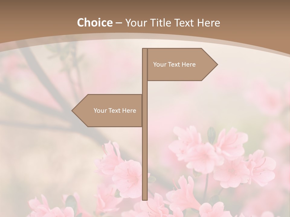 Selective Focus Pink Nature PowerPoint Template
