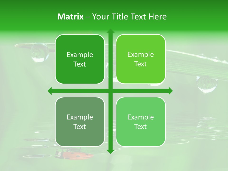 Plant Wildlife Meadow PowerPoint Template