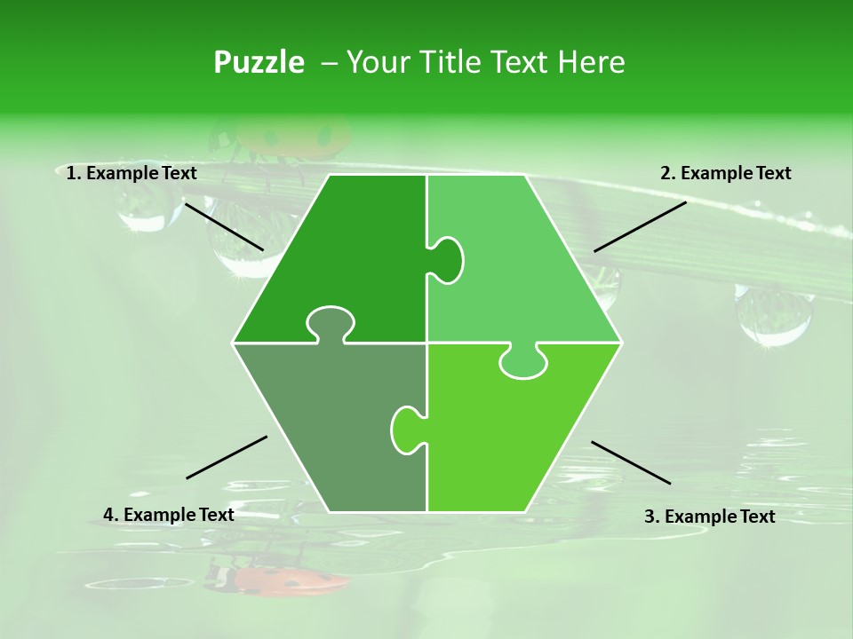 Plant Wildlife Meadow PowerPoint Template