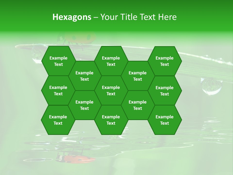 Plant Wildlife Meadow PowerPoint Template