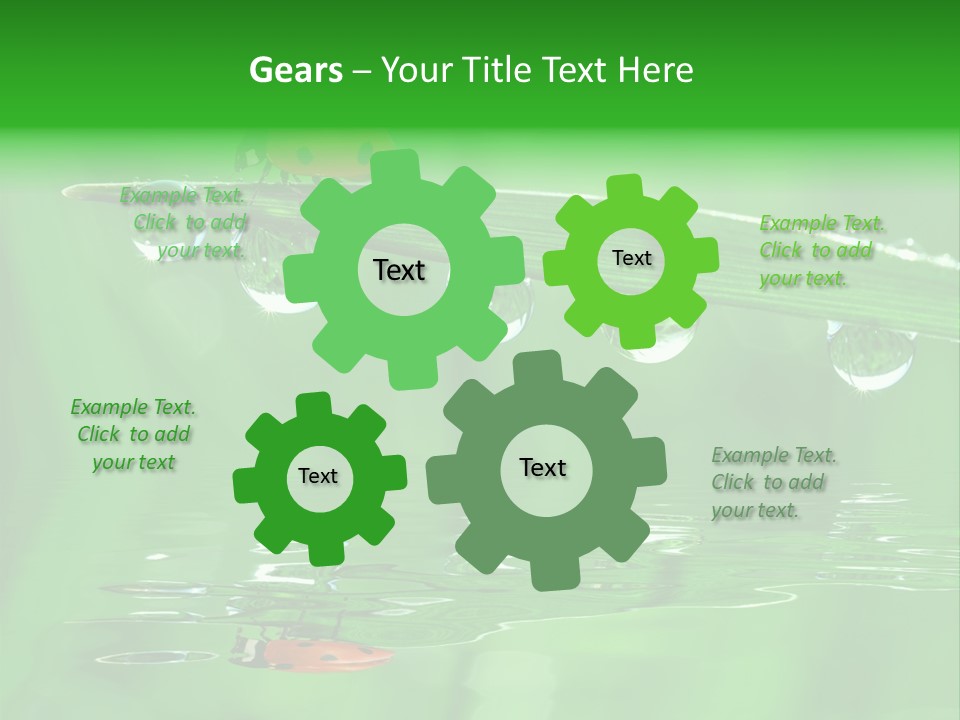 Plant Wildlife Meadow PowerPoint Template