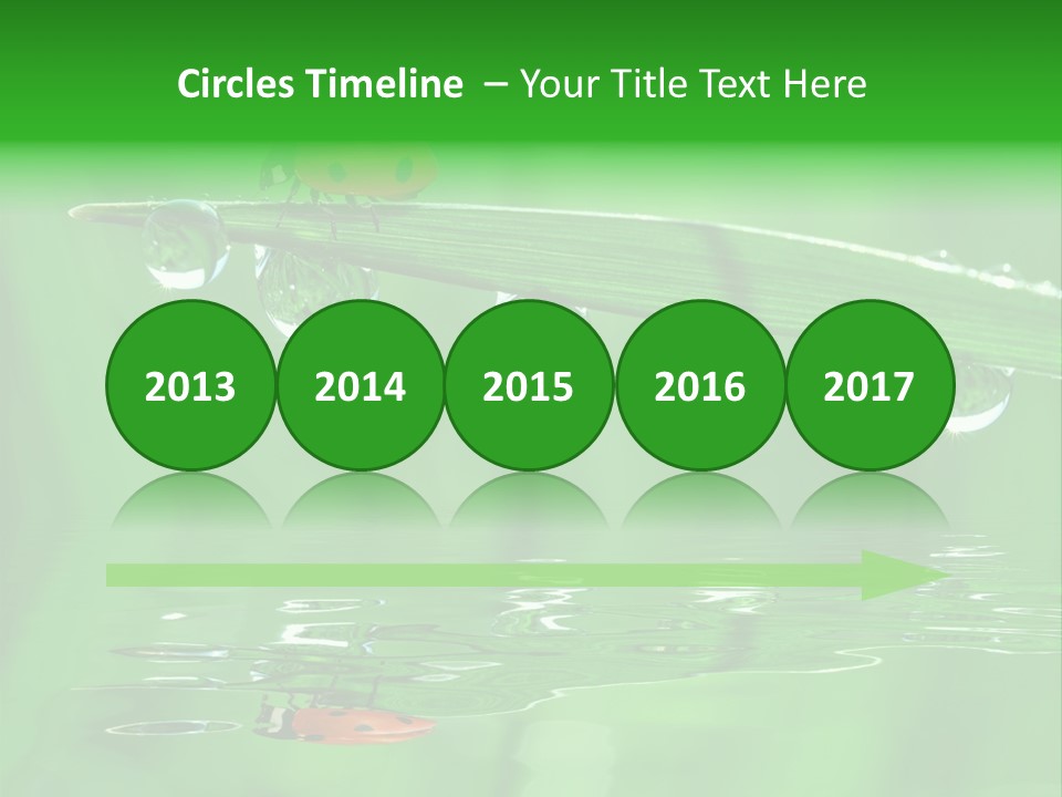 Plant Wildlife Meadow PowerPoint Template