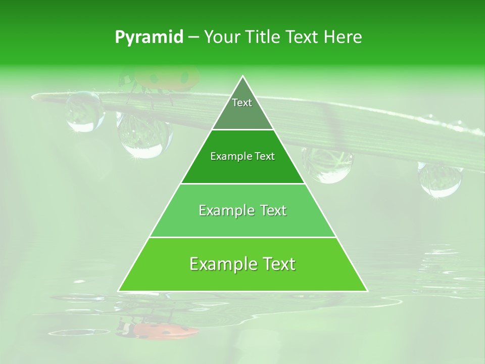 Plant Wildlife Meadow PowerPoint Template
