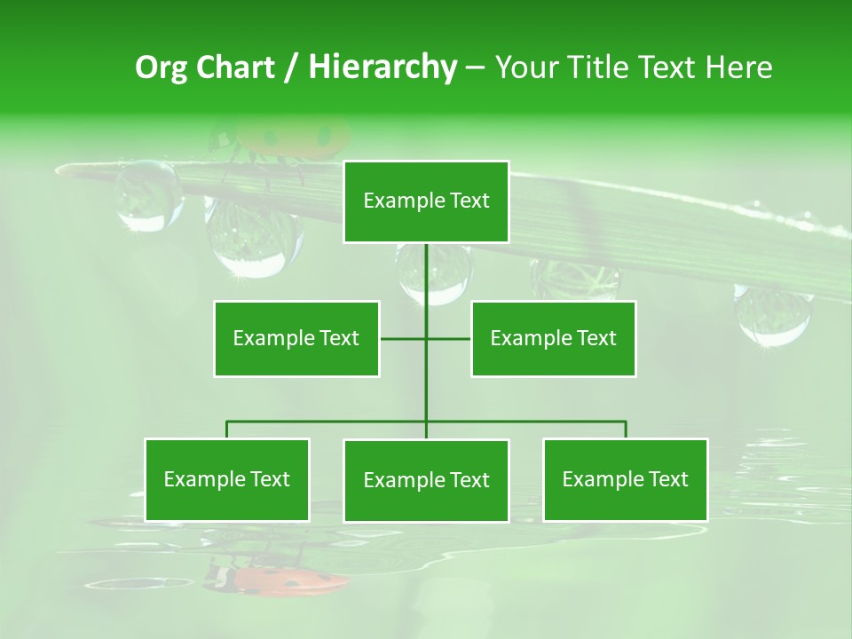 Plant Wildlife Meadow PowerPoint Template