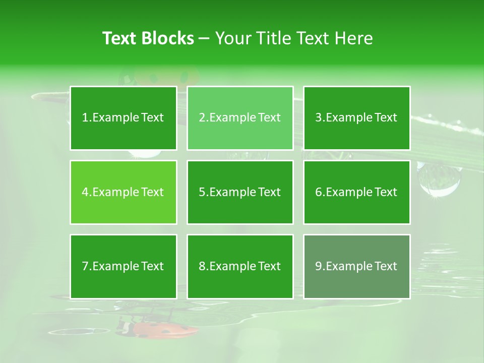 Plant Wildlife Meadow PowerPoint Template