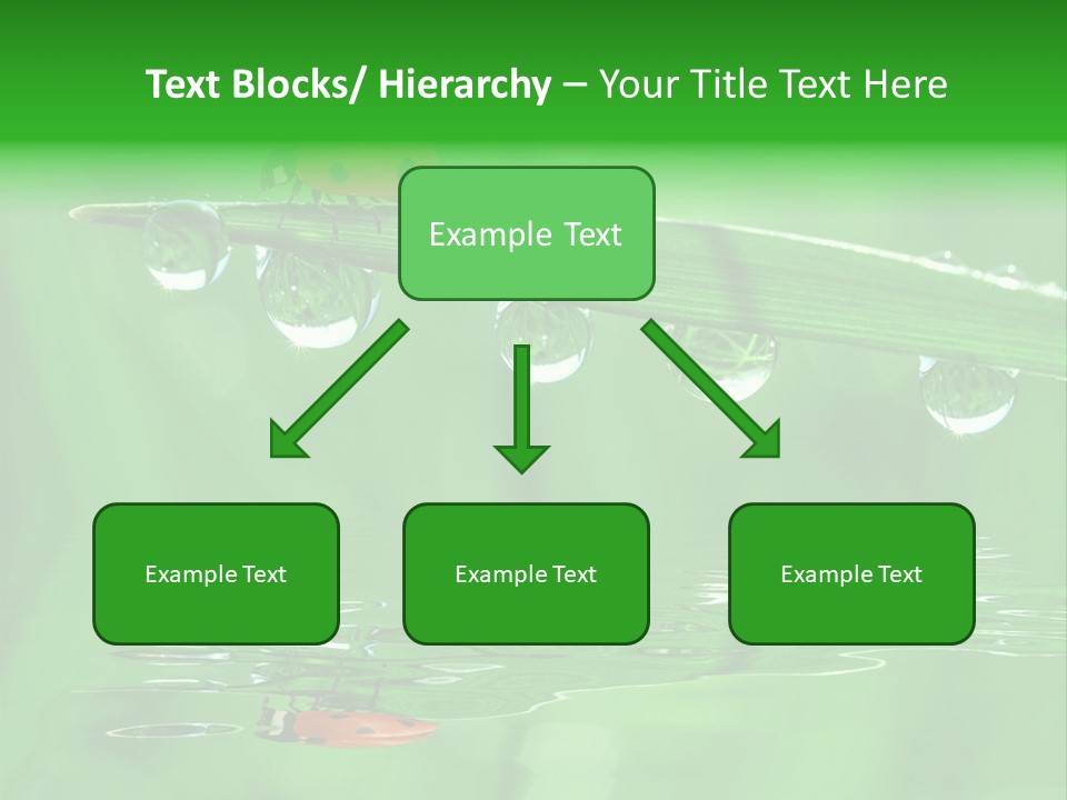 Plant Wildlife Meadow PowerPoint Template