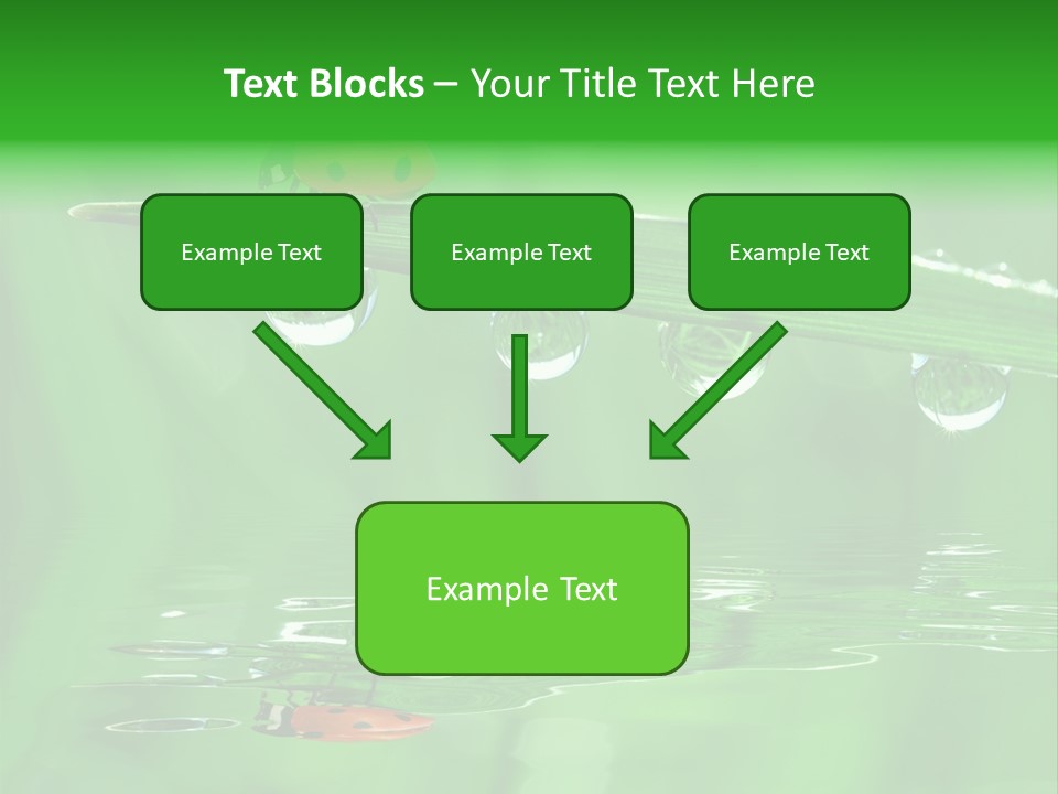 Plant Wildlife Meadow PowerPoint Template