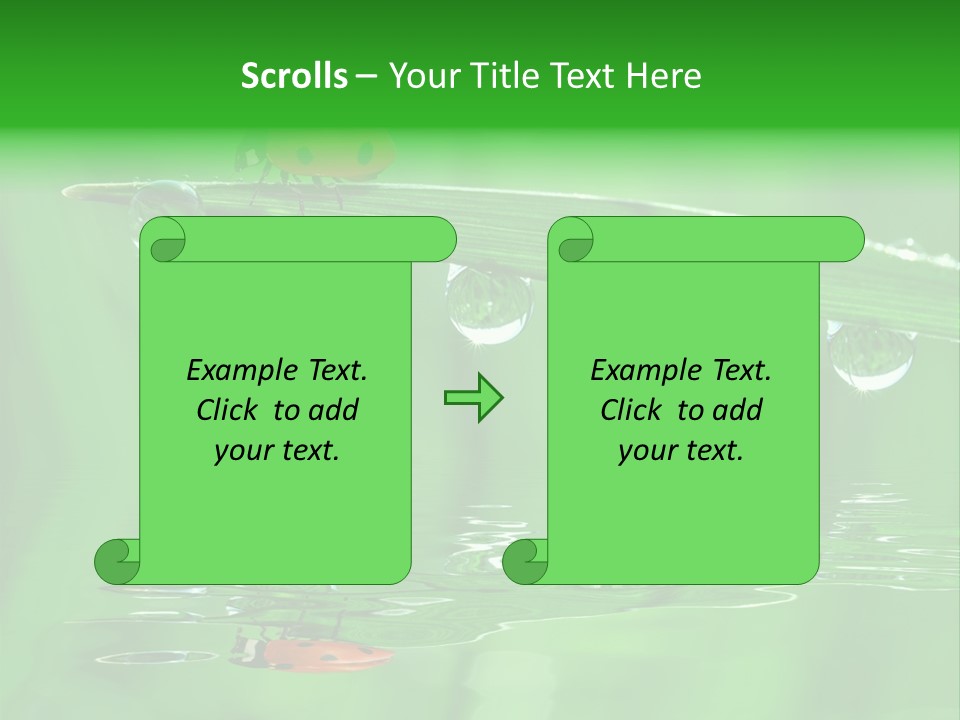 Plant Wildlife Meadow PowerPoint Template