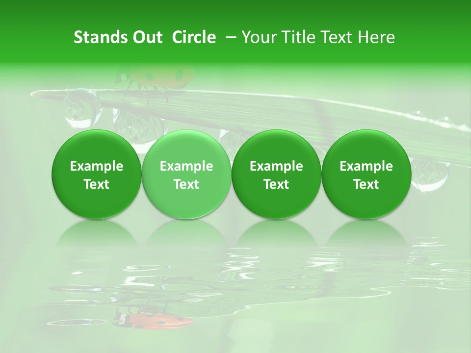 Plant Wildlife Meadow PowerPoint Template