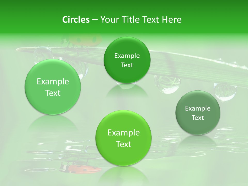 Plant Wildlife Meadow PowerPoint Template