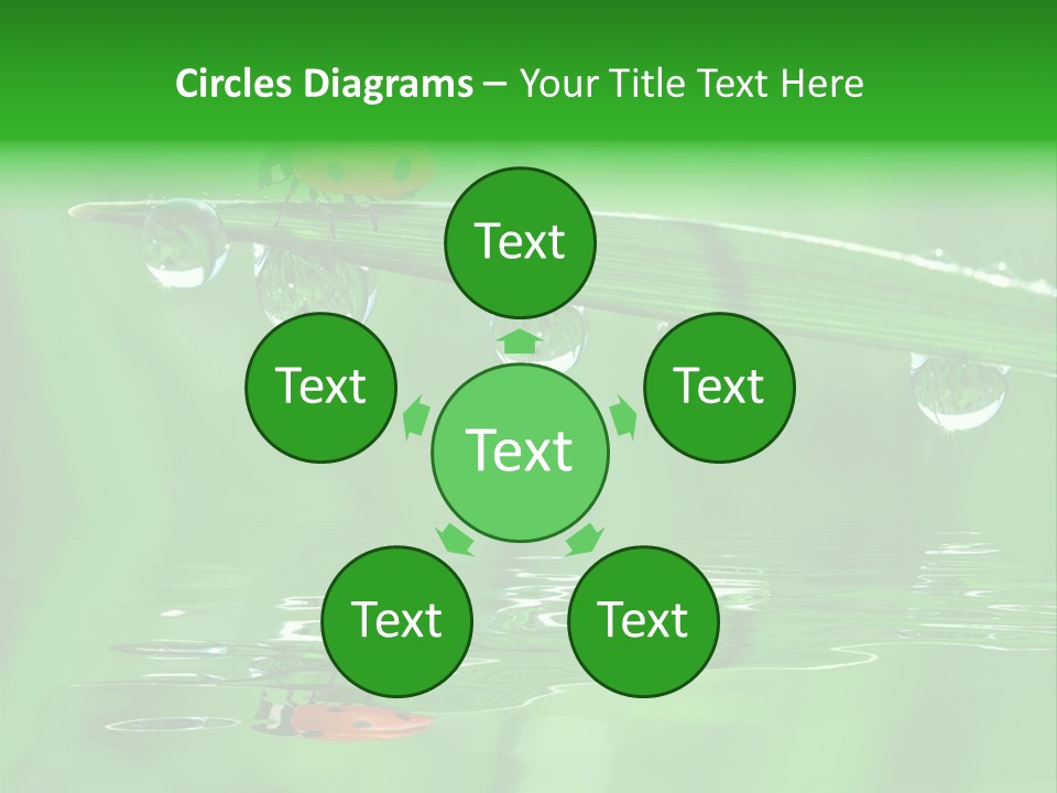 Plant Wildlife Meadow PowerPoint Template