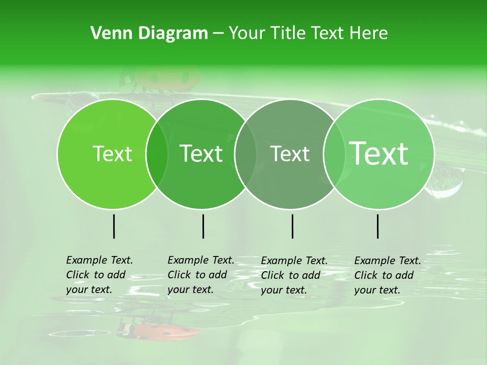 Plant Wildlife Meadow PowerPoint Template
