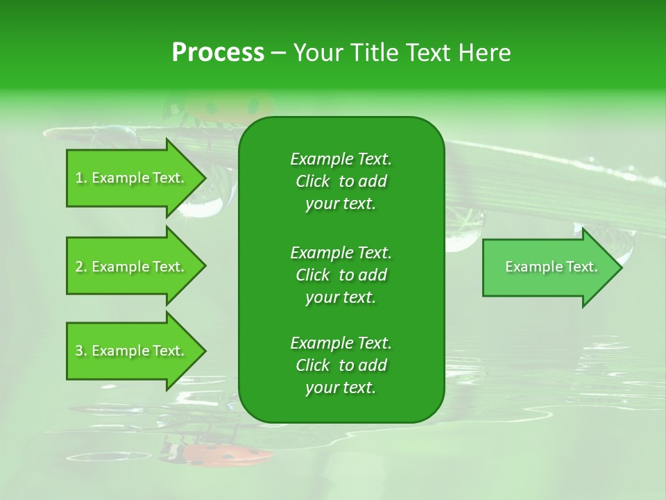 Plant Wildlife Meadow PowerPoint Template