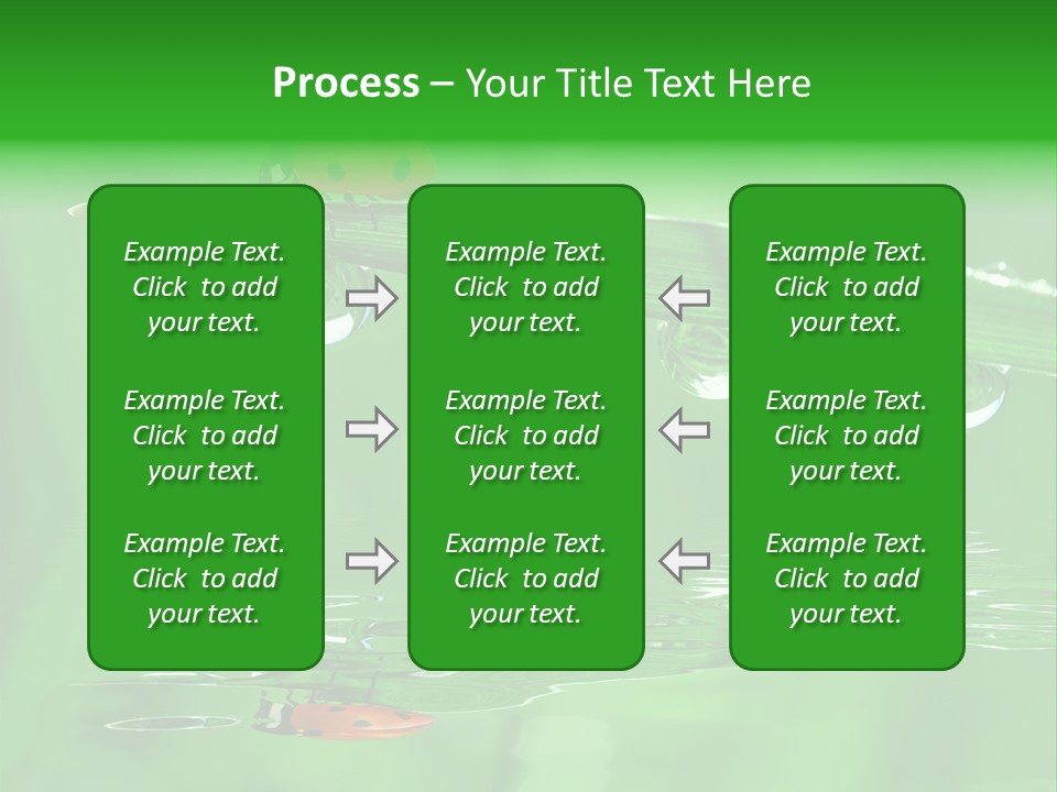Plant Wildlife Meadow PowerPoint Template
