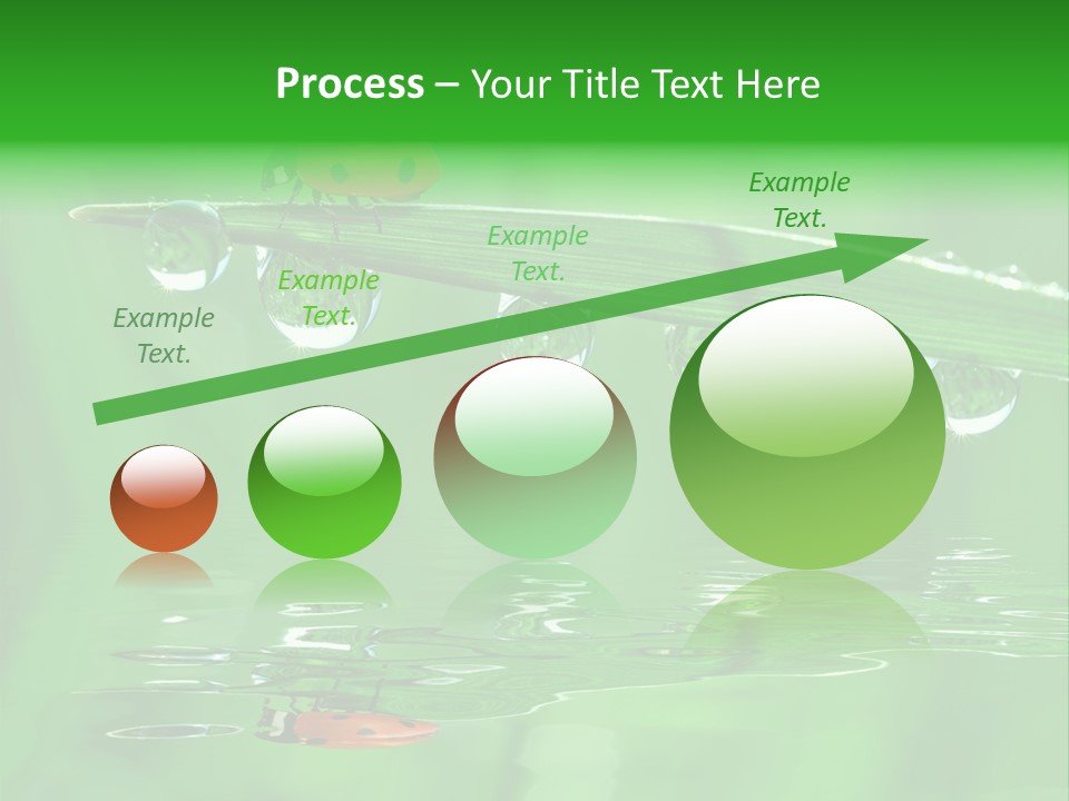Plant Wildlife Meadow PowerPoint Template