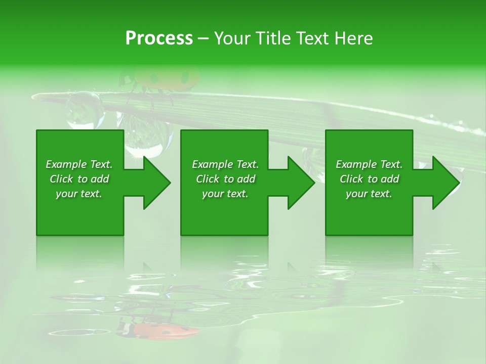 Plant Wildlife Meadow PowerPoint Template