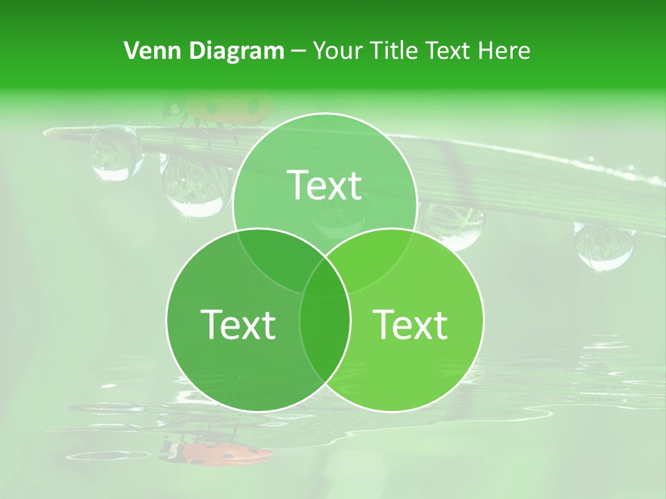 Plant Wildlife Meadow PowerPoint Template