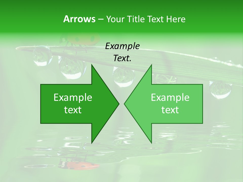 Plant Wildlife Meadow PowerPoint Template