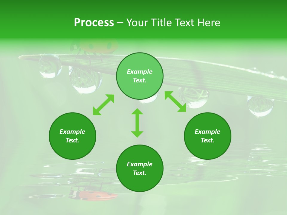 Plant Wildlife Meadow PowerPoint Template