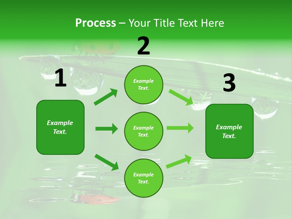 Plant Wildlife Meadow PowerPoint Template