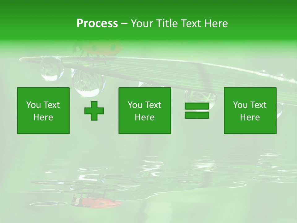 Plant Wildlife Meadow PowerPoint Template