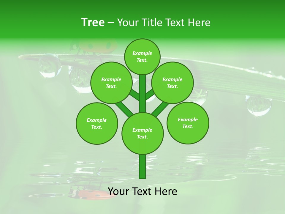 Plant Wildlife Meadow PowerPoint Template