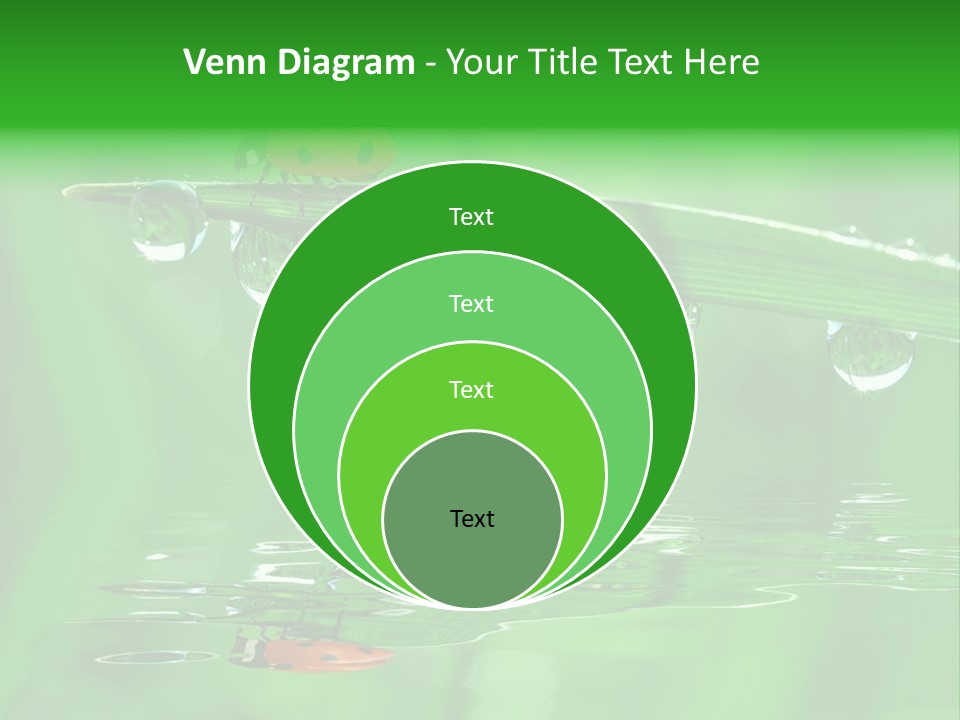 Plant Wildlife Meadow PowerPoint Template