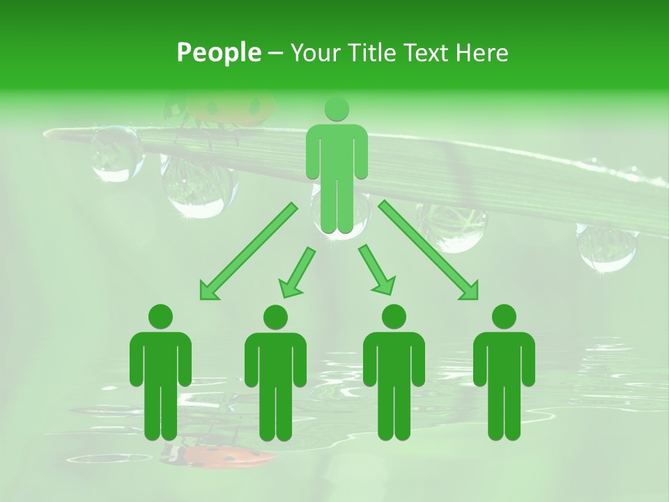 Plant Wildlife Meadow PowerPoint Template