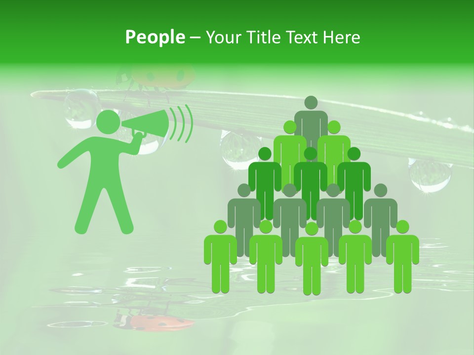 Plant Wildlife Meadow PowerPoint Template