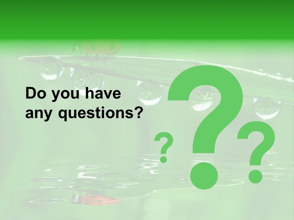 Plant Wildlife Meadow PowerPoint Template