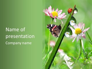 Plant Wildlife Environmental PowerPoint Template