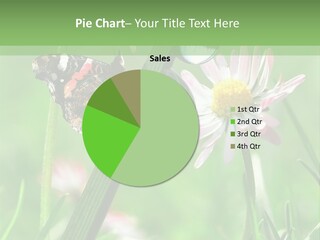 Plant Wildlife Environmental PowerPoint Template