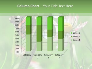 Plant Wildlife Environmental PowerPoint Template