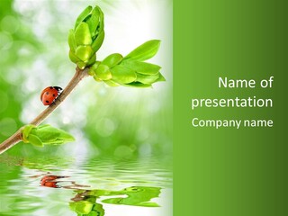 Fre H Ladybug Blur PowerPoint Template