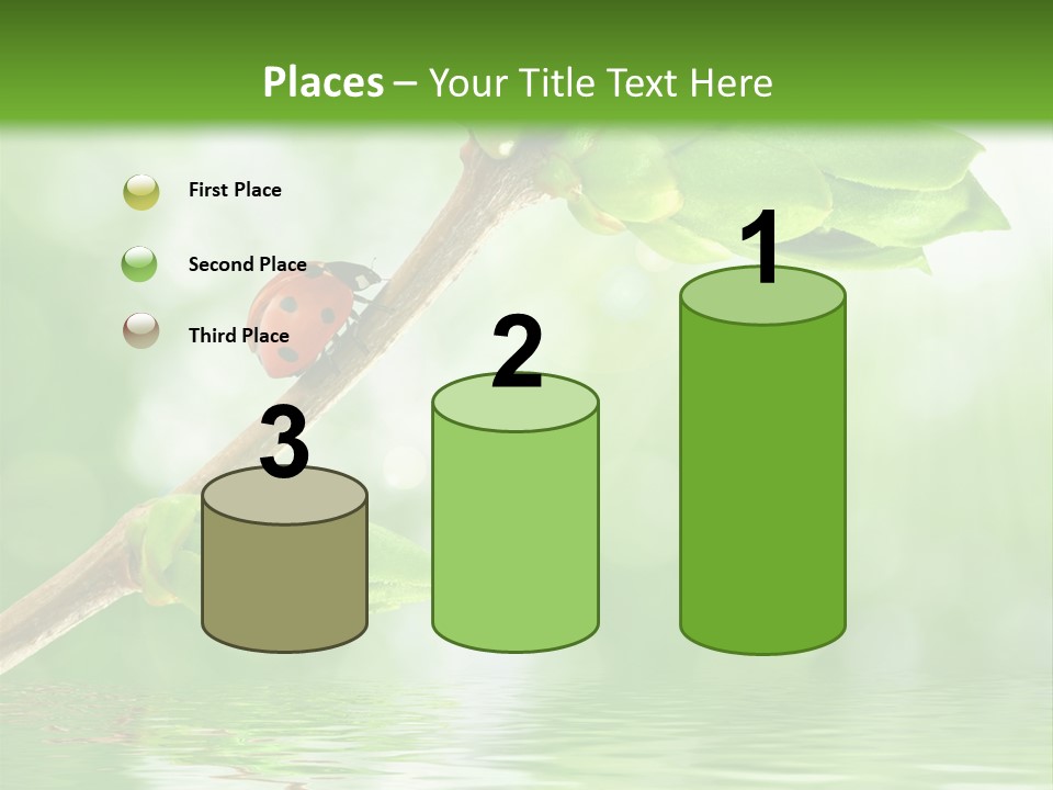 Fre H Ladybug Blur PowerPoint Template