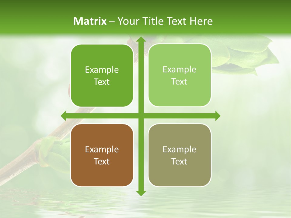 Fre H Ladybug Blur PowerPoint Template