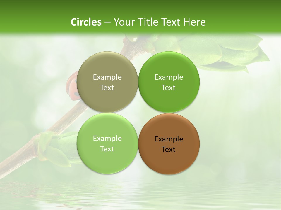 Fre H Ladybug Blur PowerPoint Template