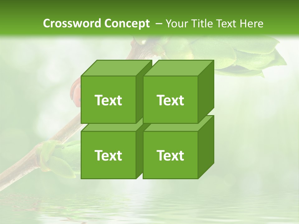 Fre H Ladybug Blur PowerPoint Template