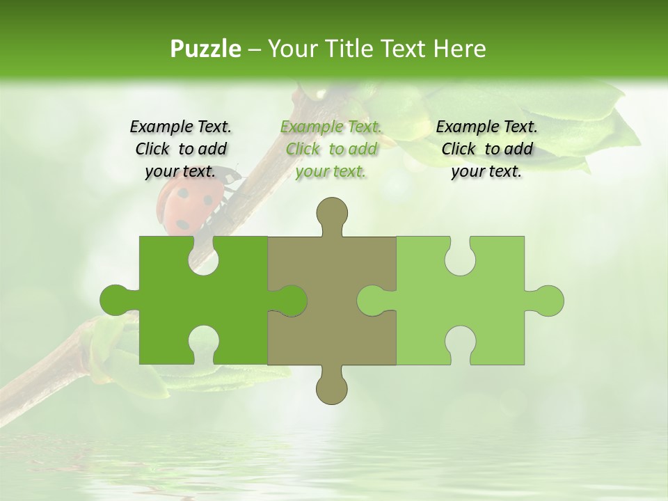 Fre H Ladybug Blur PowerPoint Template