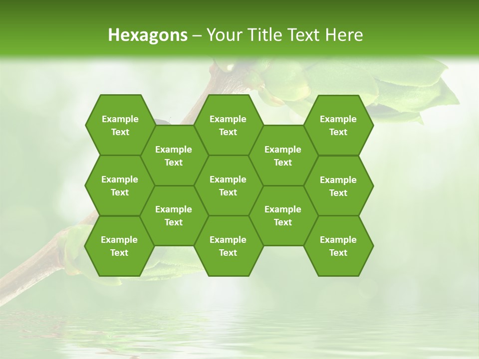 Fre H Ladybug Blur PowerPoint Template