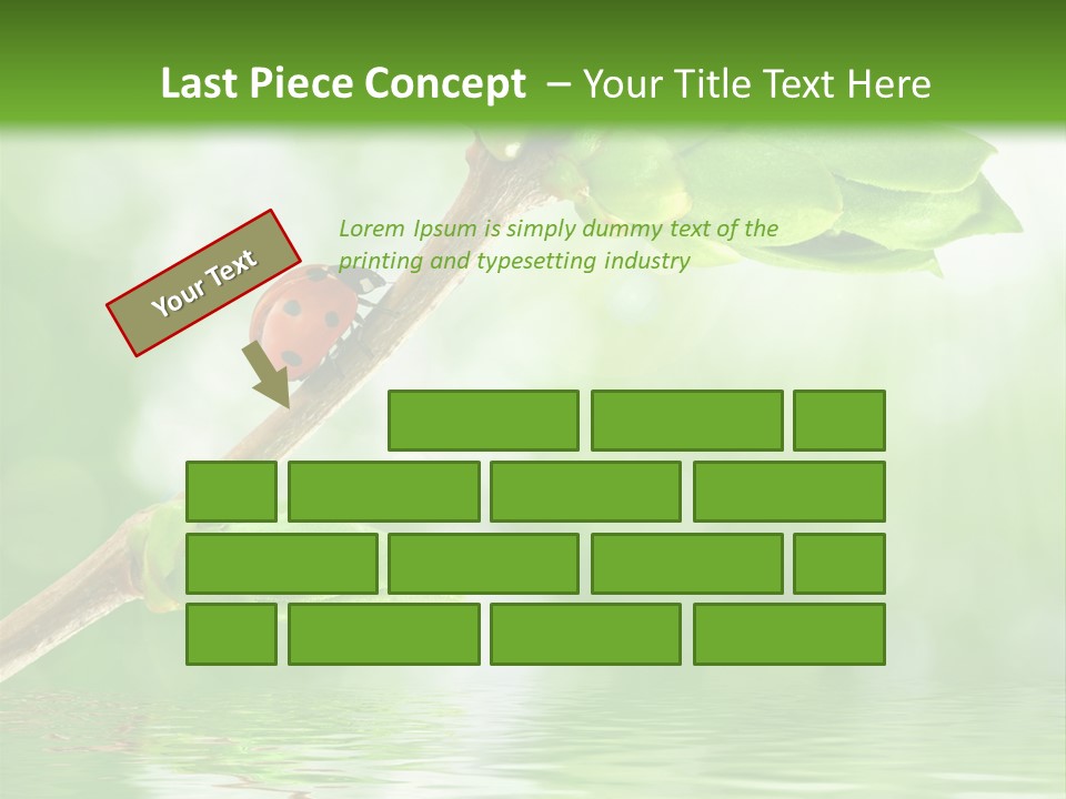 Fre H Ladybug Blur PowerPoint Template