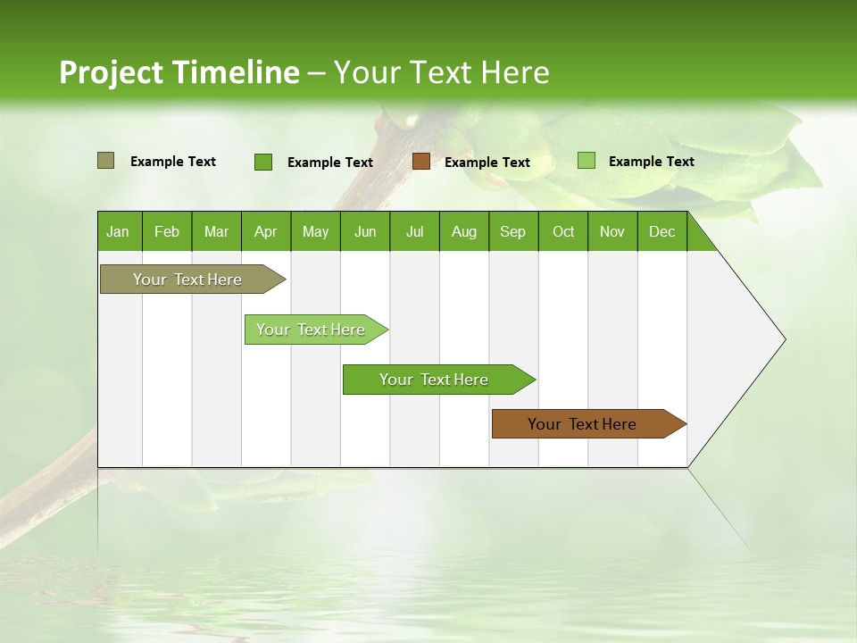 Fre H Ladybug Blur PowerPoint Template