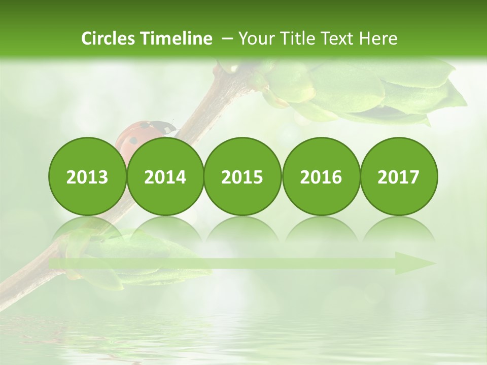 Fre H Ladybug Blur PowerPoint Template