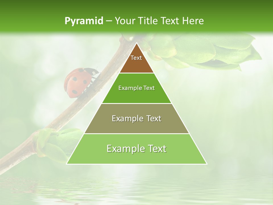 Fre H Ladybug Blur PowerPoint Template