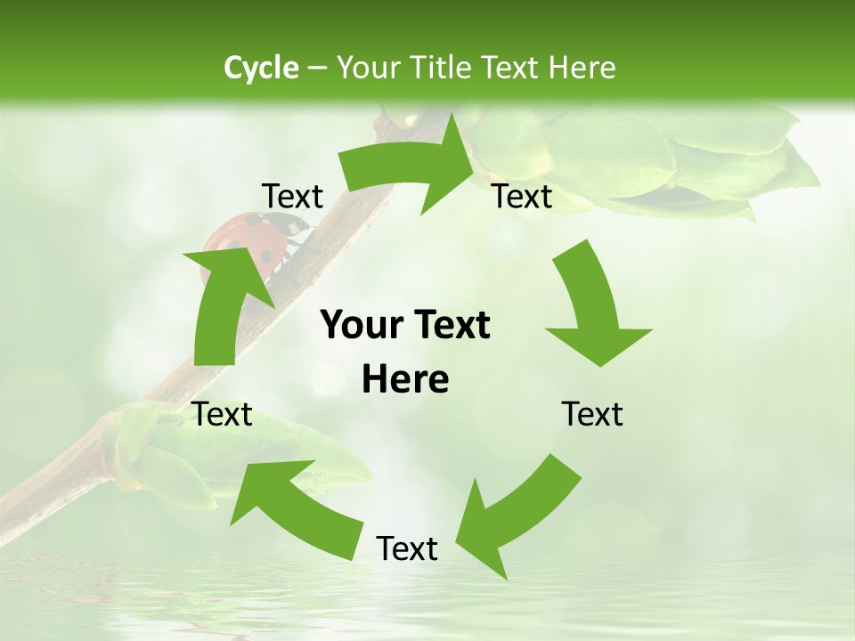 Fre H Ladybug Blur PowerPoint Template