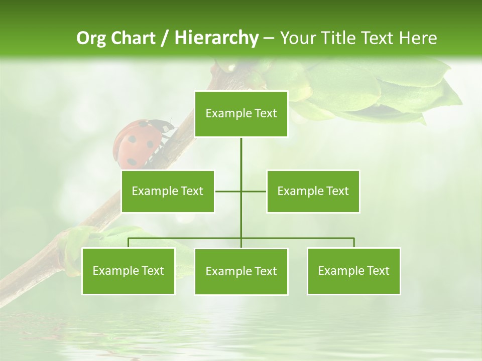 Fre H Ladybug Blur PowerPoint Template