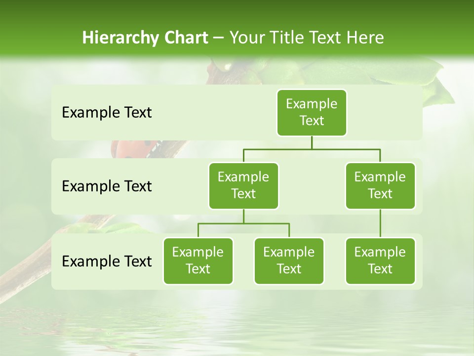 Fre H Ladybug Blur PowerPoint Template